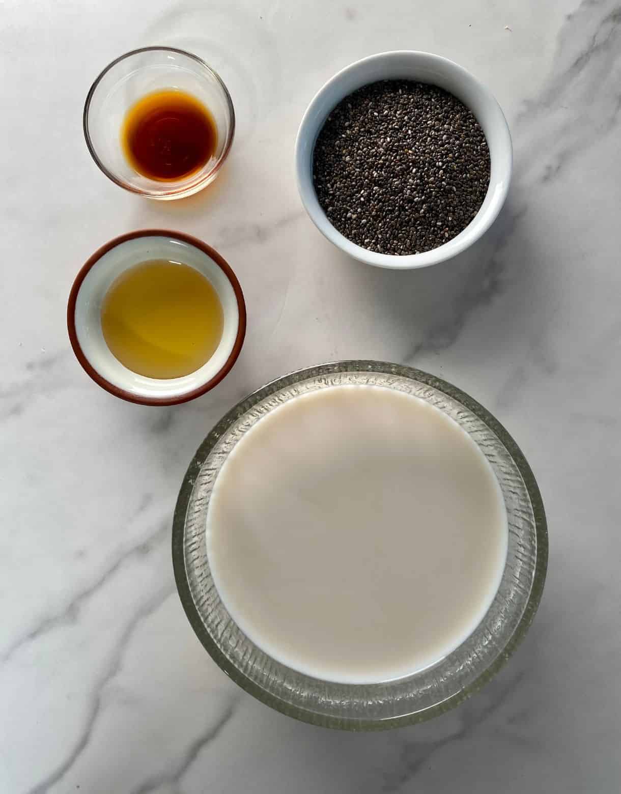 Ingredients for Keto Chia Pudding. Almond milk, chia seeds, monk fruit sweetener and vanilla extract.