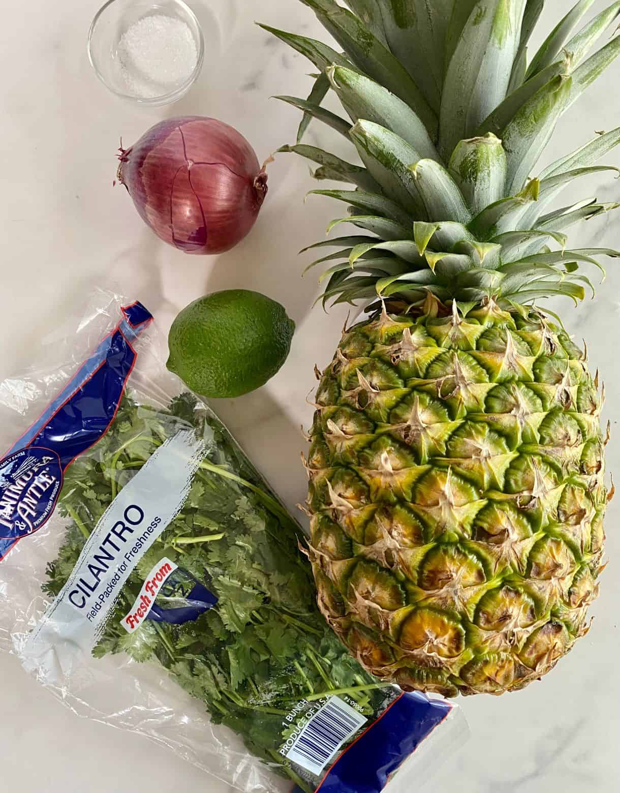 A pineapple, a red onion, a lime, a bunch of cilantro and salt.