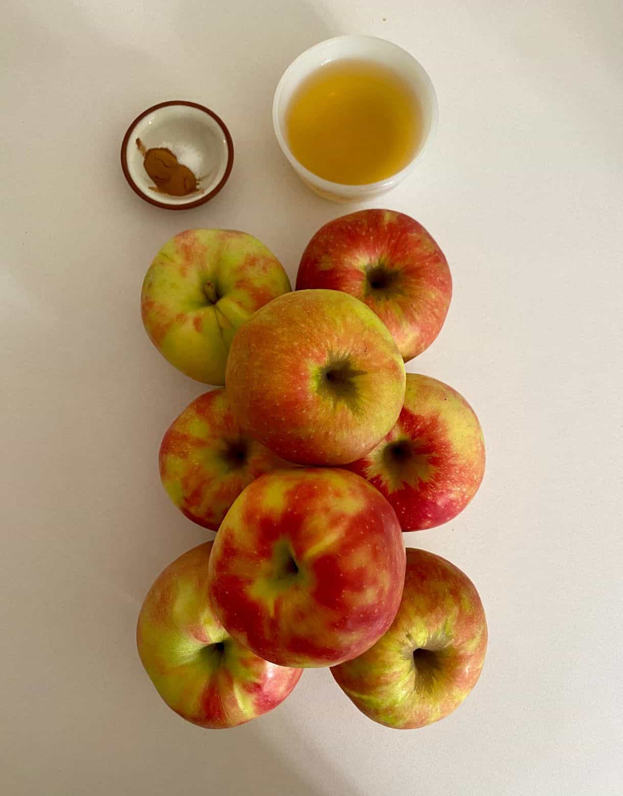 Apples, apple juice, cinnamon and salt.